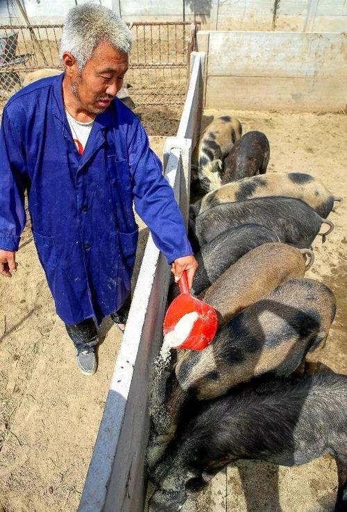 对具有种畜禽生产经营许可证的种猪场(含地方猪保种场)和年出栏5000头