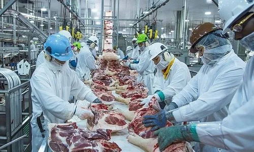 中国市场潜力巨大 巴西肉厂增加对华销售 野心不止于此