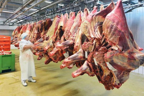 德国新闻 多家肉厂惊爆将 下脚料 肉浆填入多款产品,未在包装上注明